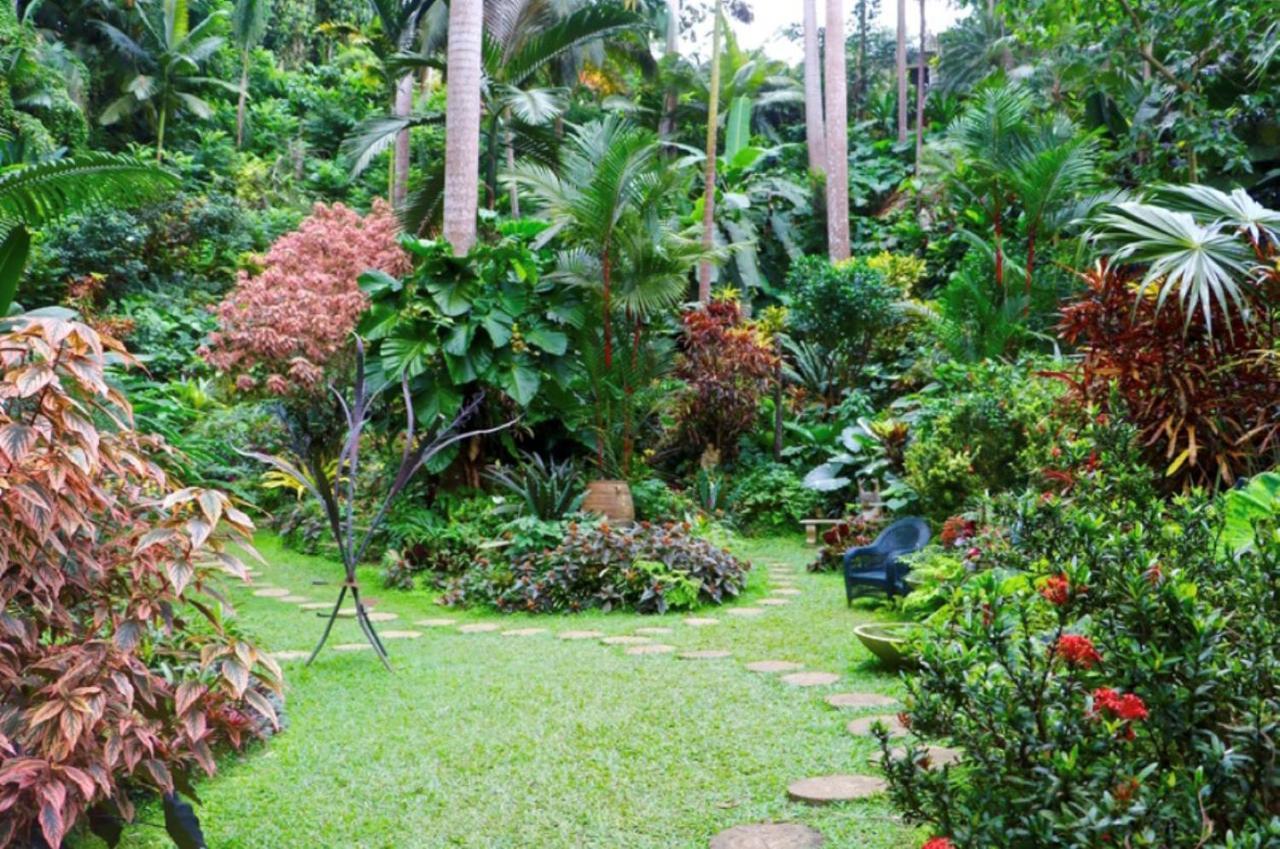 West Coast 1 Bedroom Apartment 66 - Close To Beach 圣詹姆斯 外观 照片