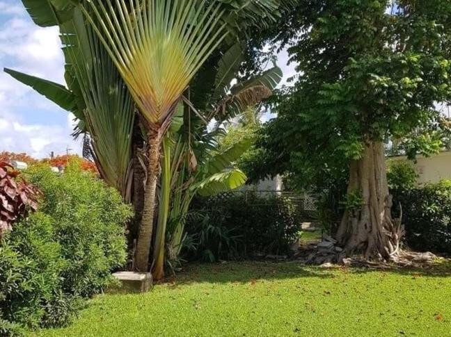 West Coast 1 Bedroom Apartment 66 - Close To Beach 圣詹姆斯 外观 照片